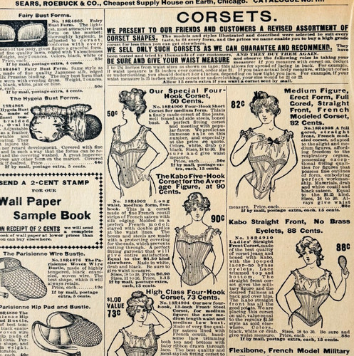 1901 Ladies Corsets Reproduction Advertisement Sears Fashion Underwear DWV12A