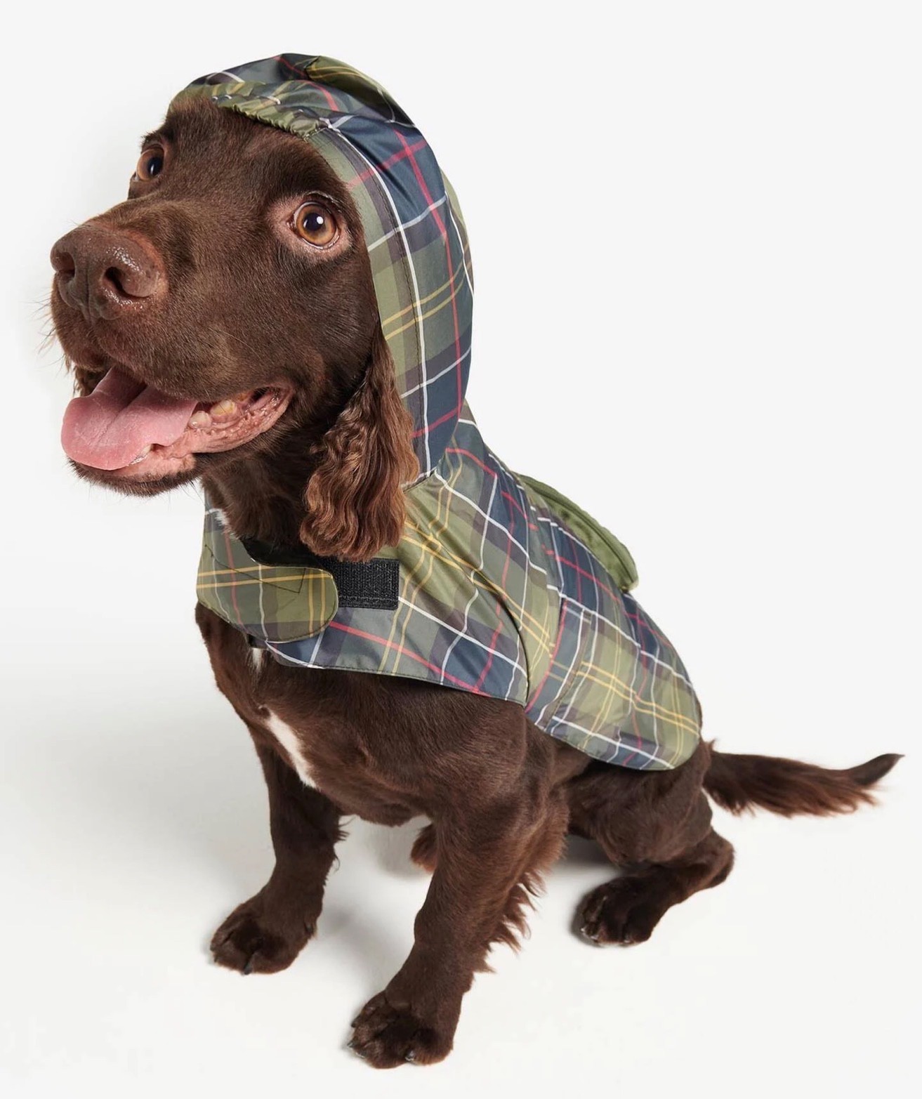 Barbour Packable Tartan Dog Coat, small - FREE SHIPPING - BNWT