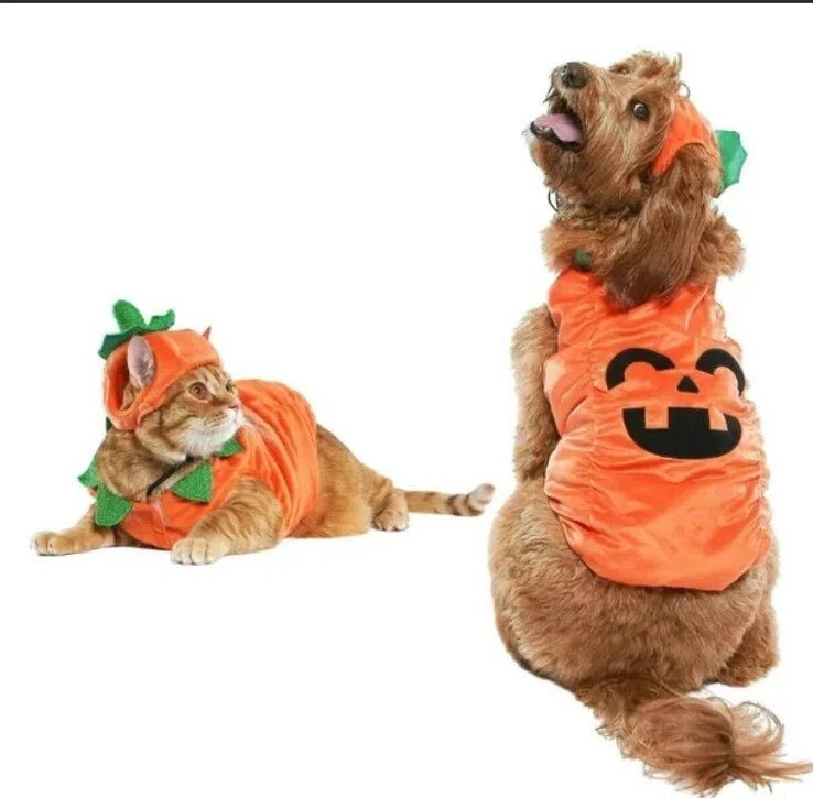 Pet Halloween Costumes At Target For Dogs, Cats More , 45 OFF