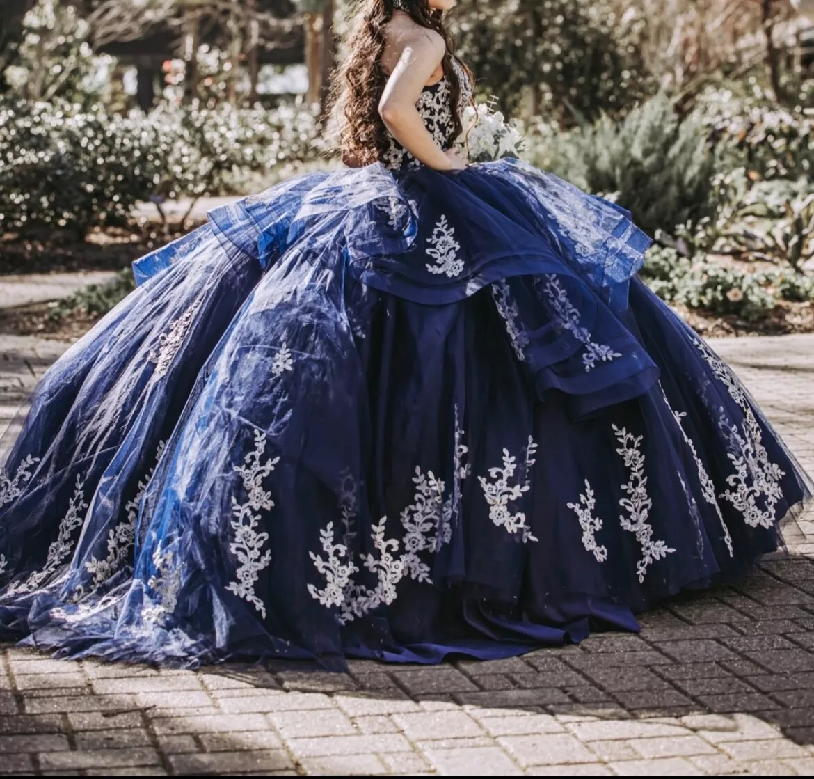 Navy blue best sale and silver gown