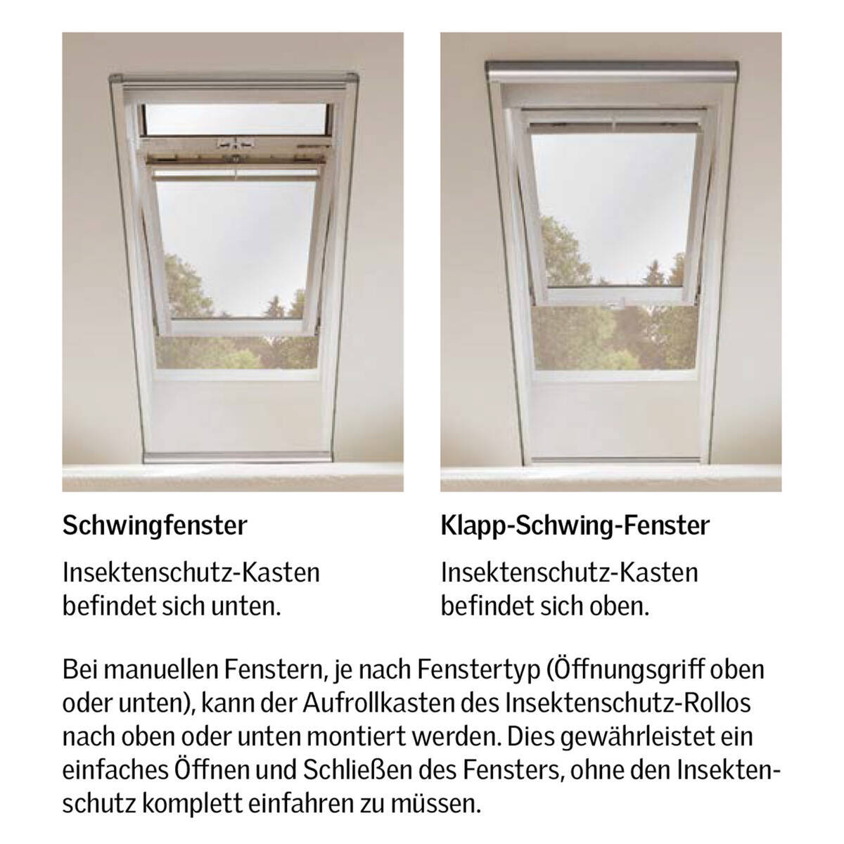 Bild 8 von 12