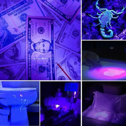 395/365nM Ultra Violet UV LED Light Blacklight Flashlight Lamp Torch - Picture 9 of 10