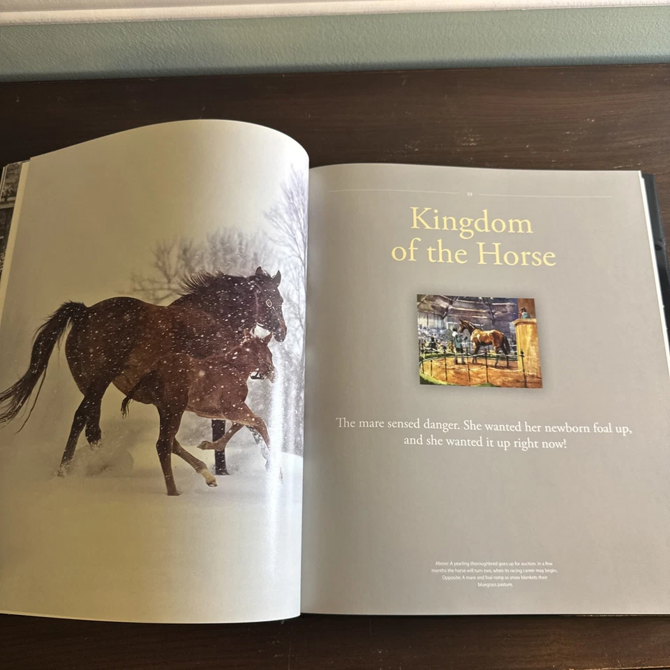 The Kentucky Derby by Bill Doolittle (2015, HCDJ) Book Coffee Table Horse Race - Image 2 of 4