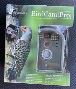 wingscapes birdcam