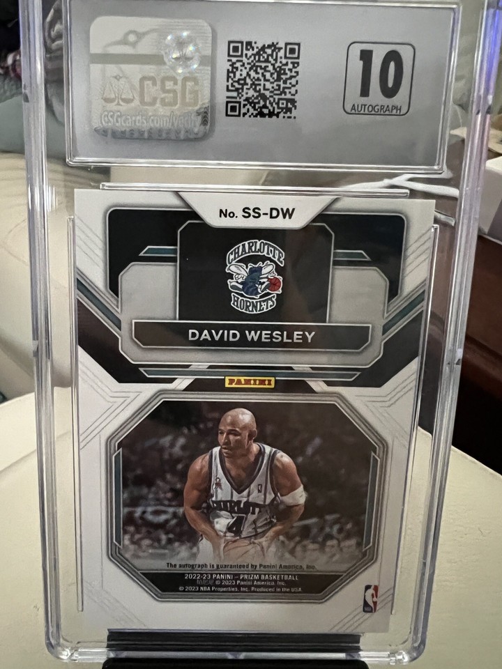 2022-23 Panini Prizm Sensational Signatures #16 David Wesley Auto | eBay