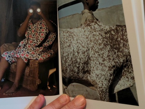 Cristina de Middel (Paperback, 2015) - RARE SIGNED PB - Picture 9 of 12