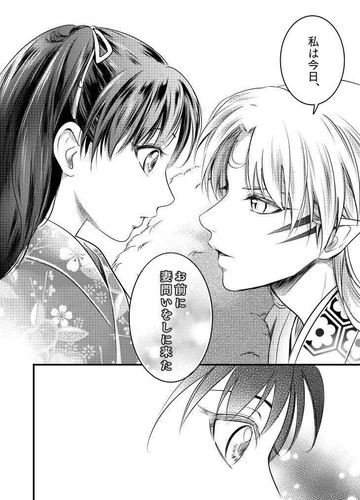 Inuyasha DOUJIN anata wo sarai sesshomaru x rin japanischer manga buch stadt - Bild 3 von 4