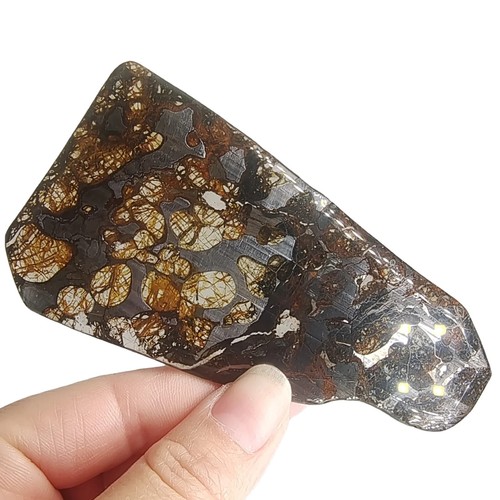 155CT Seymchan pallasite Meteorite SLICE From Russia TA739 - Picture 2 of 6