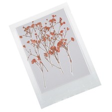12pcs Dr&uuml;ckte Reale Getrocknete Blumen Babysbreath F&uuml;r Diy