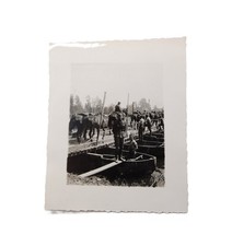 Foto - Soldat - Uniform - Pioniere - Brücke - Ponton - Pferd - 2. Weltkrieg