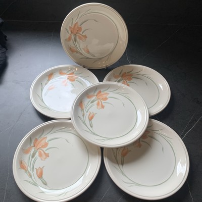 6x Biltons Coloroll Safran Beilagen Vorspeiseteller 6 1/2'' 17 cm Vintage England