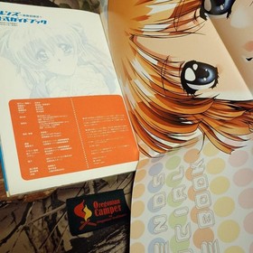 Friends~The Radiance of Youth~ Sega Saturn Official Strategy Guide