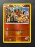 2015 Pokemon TCG XY Double Crisis -Team Magma's Numel- Reverse Holo Common 1/34