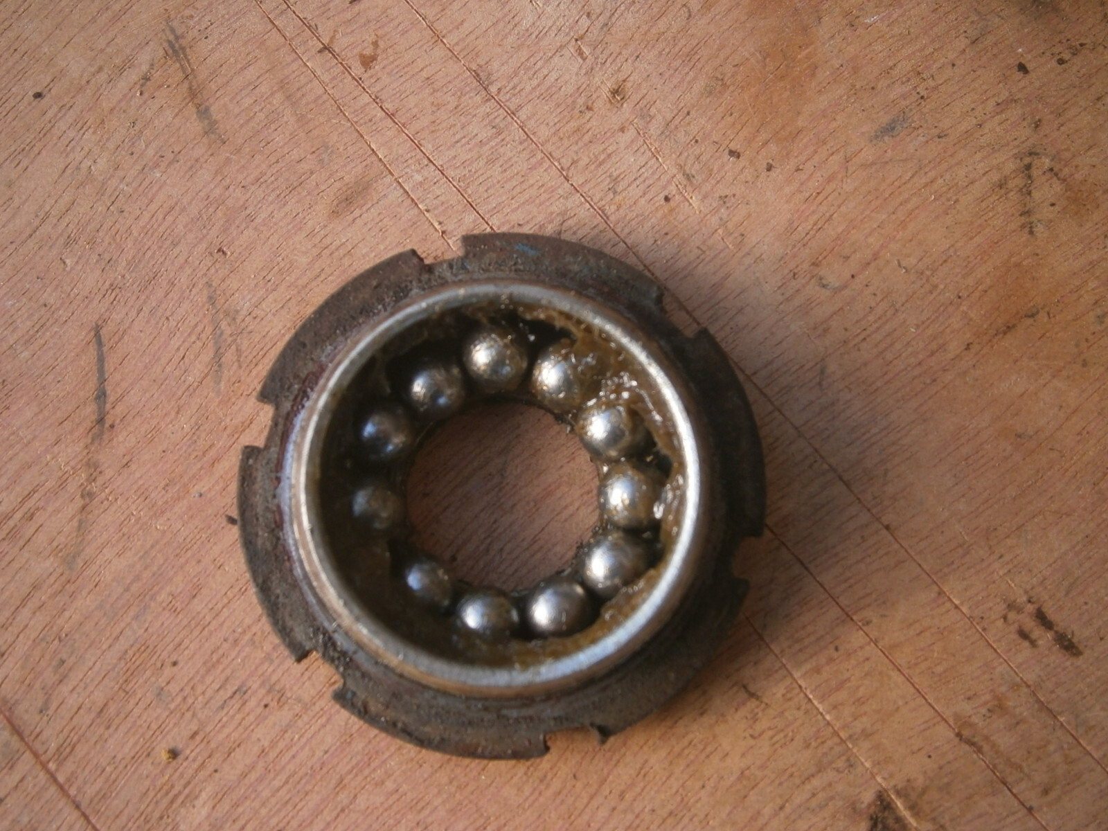 Picture 10 of 14