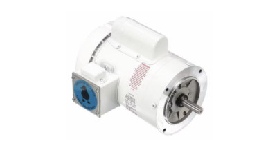 Leeson  Washguard Washdown Motor  114317.00