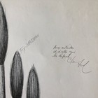 Foto 2 di 8