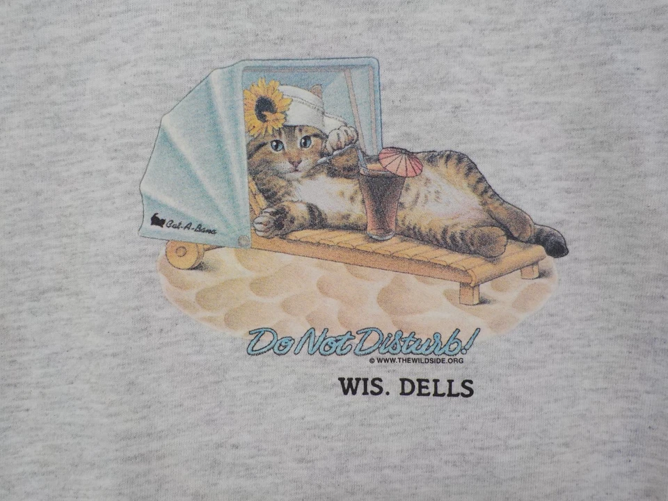 Camiseta WISCONSIN DELLS JUVENIL TAMANHO G (14/16) CINZA "NÃO PERTURBE" GATO NO CARRINHO DE BEBÊ - Imagem 2 de 4