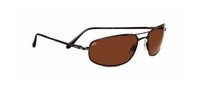 Serengeti Velocity Sunglasses Espresso One Size Serengeti Velocity Sunglasses Espresso One Size