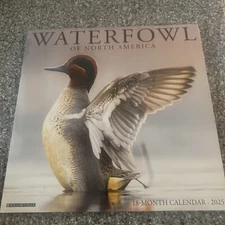 Waterfowl 2025 12 X 12 Wall Calendar by Willow Creek Press (2024, Calendar)