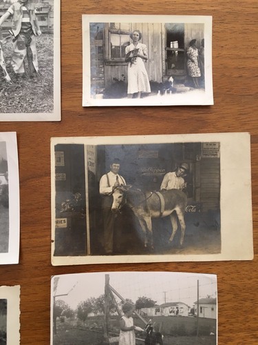 Real Pictures Photographs Texas Animals People Kids Goat Dog Cow Donkey - Picture 4 of 6