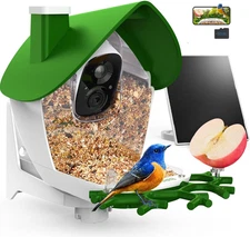 Birdsnap® P33 - Bird Feeder with Camera Solar Powered, 2K Video Bird Camera Feed