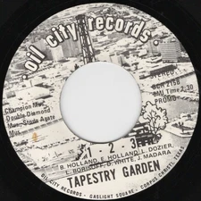 Tapestry Garden '69 Texas garage psych private label DJ 45 VG+ 1-2-3/Candles in