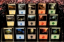 GirlGames - LP SOI COLLECTOR SET - MTG SHADOWS OVER INNISTRAD BASIC LAND LOT