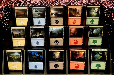 GirlGames - PACK FRESH SOI COLLECTOR SET - MTG SHADOWS OVER INNISTRAD BASIC LAND