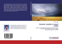 Genetic Studies In Pearl Millet Ketan Mungra Taschenbuch Englisch 2015