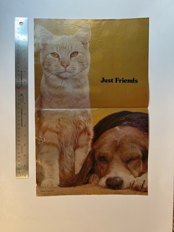 "Just friends" Cat Dog Poster Never Used 1982 Troll Associates