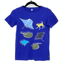 Joules Boys 9 10 Blue Graphic T Shirt Stingra...