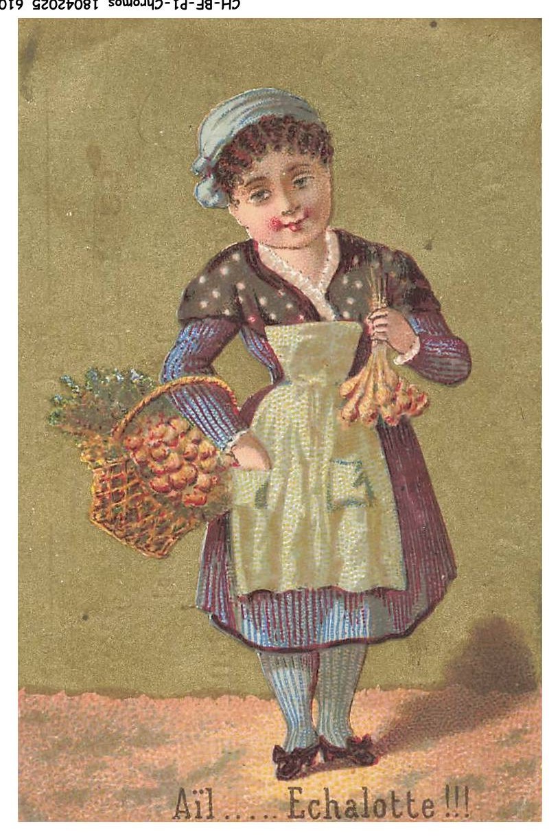 CH-BFP1-0716-CHROMOS - LEROUX - Ajo - Chalote