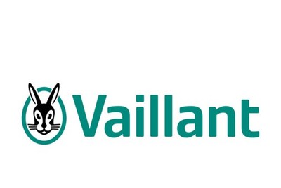 256275 Kabelbaum, Niedervolt Option PCB, Vaillant Ecomax Pro