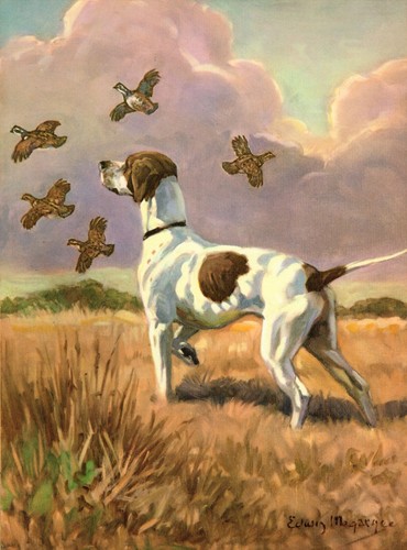 Vintage POINTER Dog Print 1950s Megargee Pointer Bird Hunting Dog Print 6755j