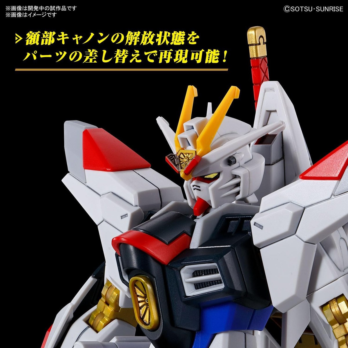 BANDAI HG 1/144 ZGMF/A-262PD-P MIGHTY STRIKE FREEDOM GUNDAM Model