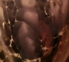 Bild 17 von 21