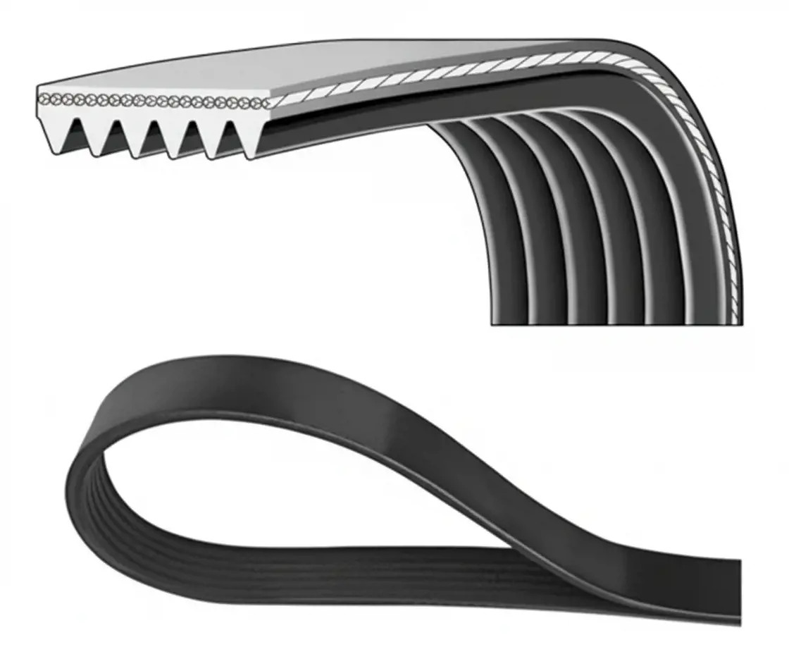 DAYCO 6PK1029EE Cinghia Poly-V - Immagine 2
