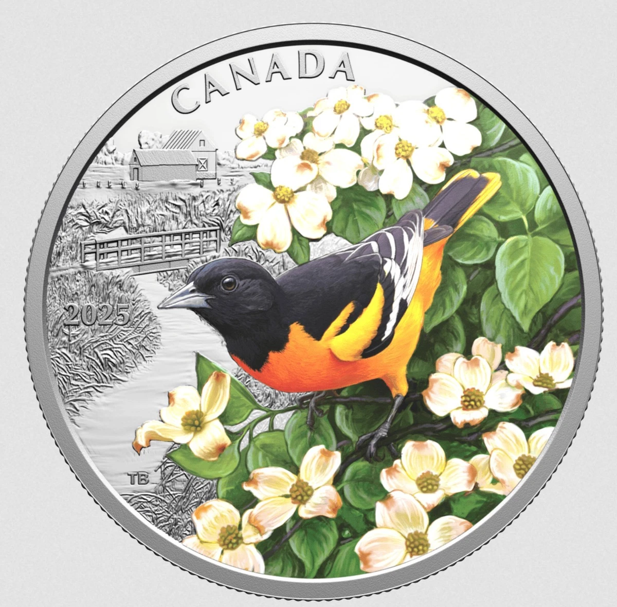 Canada Bird Coin for sale | eBay