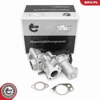 AGR Ventil Esen SKV 14SKV253 FüR VW Phaeton 3D1 3D2 3D3 3D4 3D6 3D7 3D8 3D9 7LA
