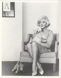 Marilyn Monroe poodle 1961 Beverly Hills Hotel Vintage Silver Gelatin 8x10 Photo