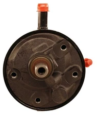 Power Steering Pump-GAS Lares 12541