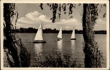 RPPC View of the J Stalin Park Campulung Suceava vintage postcard c433