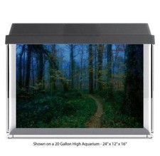Dark Forest Pathway Trai Tank Glass Backdrop Aquarium Background 024