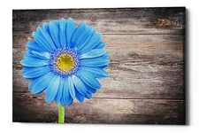 Epic Graffiti "Serenity" Giclee Canvas Wall Art