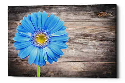 Epic Graffiti ''Serenity'' Giclee Canvas Wall Art