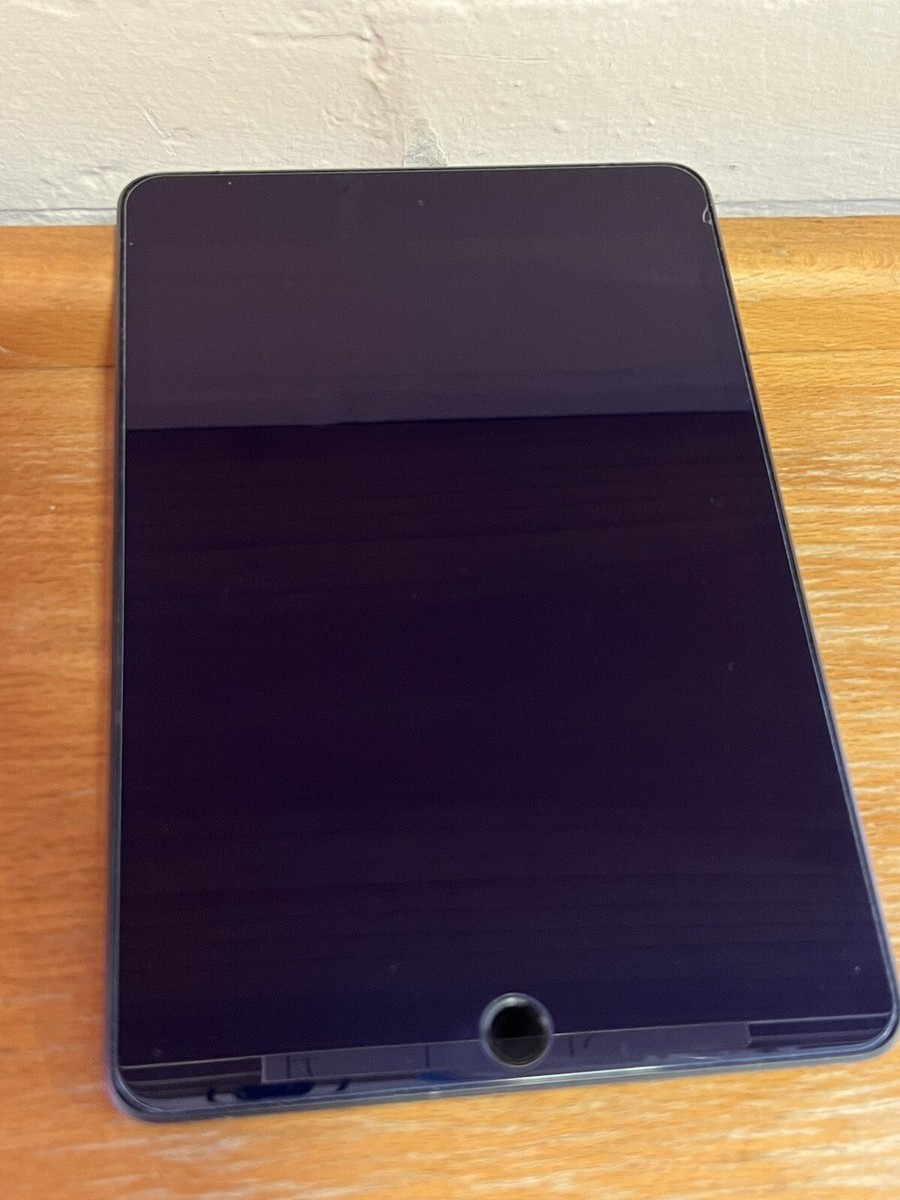 Buy Apple iPad Mini (5th Generation) 256GB, Wi-Fi + 4G (Unlocked