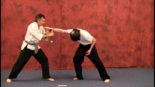 Nunchaku - Martial Arts Weapon Instructional Karate DVD How To - FREE SHIPPING - Picture 1 of 6