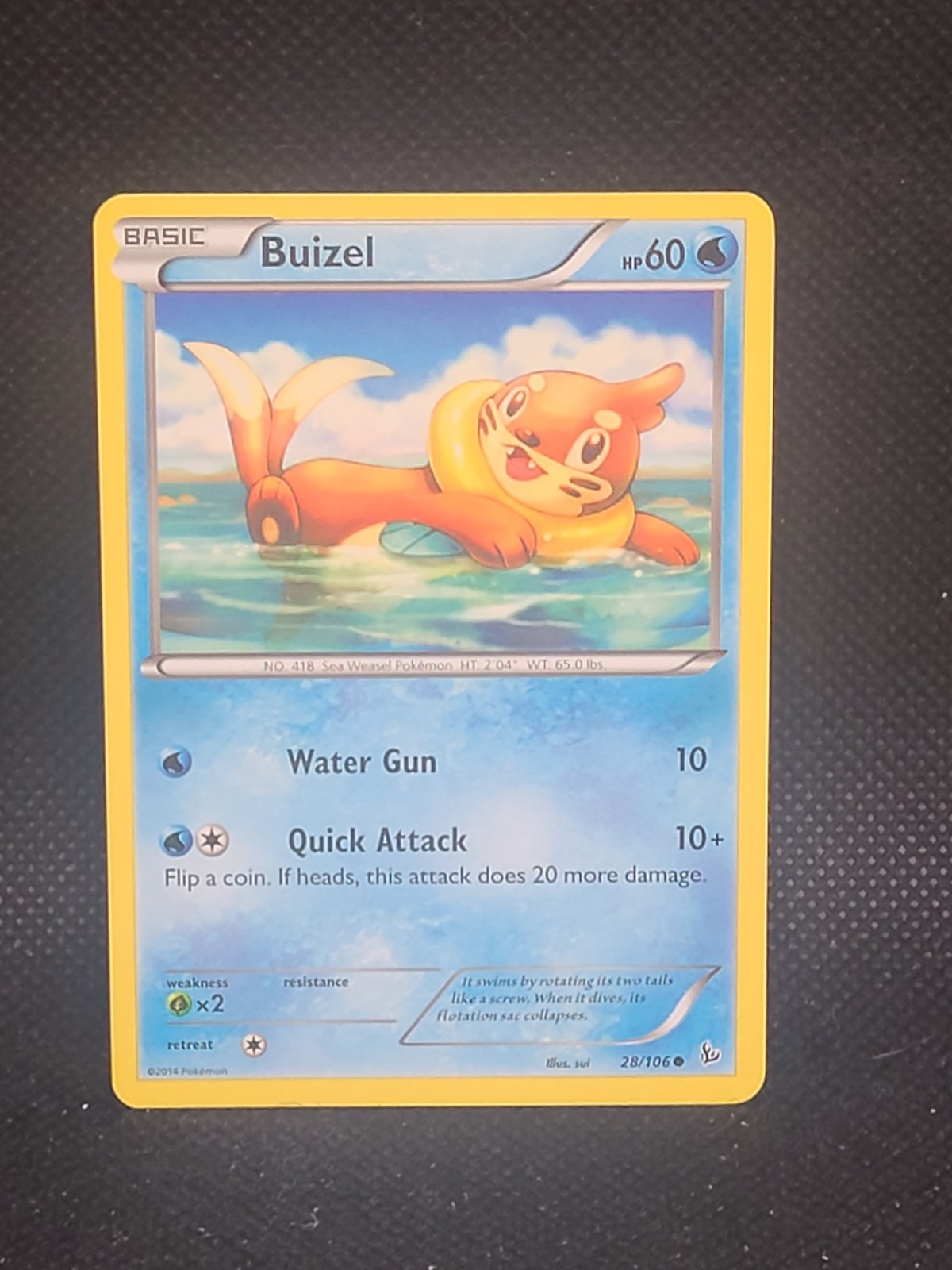 Buizel Pokemon XY2: Wild Blaze #023/080 MP