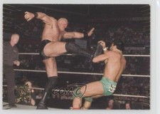 2007 Topps WWE Action Gene Snitsky #64 0kb5