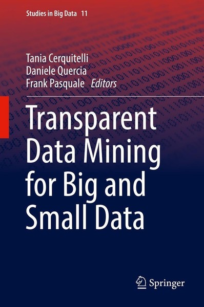 Transparent Data Mining For Big And Small Data Tania Cerquitelli-image